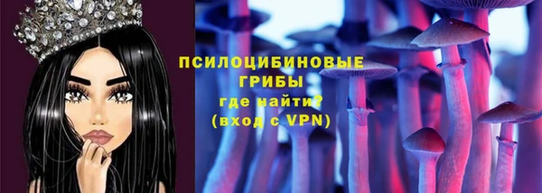 дживик Беломорск