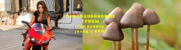 apvp Балахна