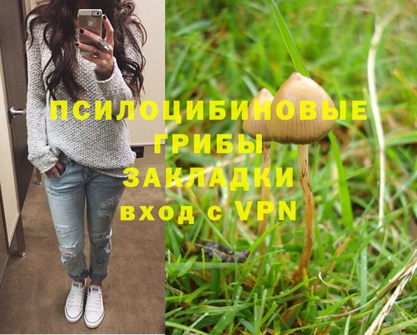 мяу мяу мука Баксан