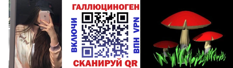 как найти закладки  Кушва  Галлюциногенные грибы Magic Shrooms 
